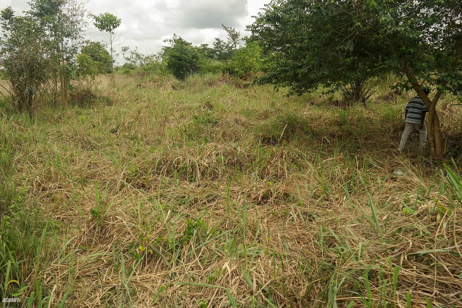 Two Plots of Land for sale